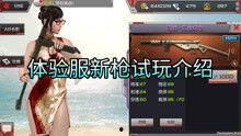 体验服最新大爆料,揭秘神秘英雄与全新游戏机制