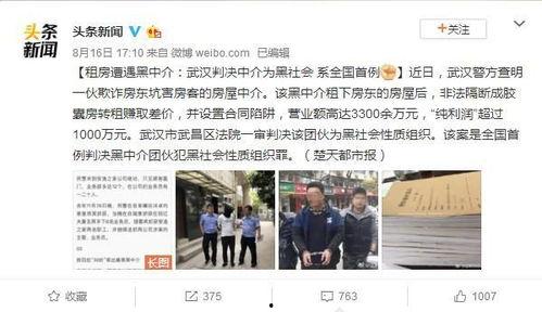 武汉黑中介爆料案件最新,揭露行业潜规则，揭开灰色产业链面纱