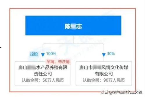唐山大姐实名爆料视频,揭开惊人内幕