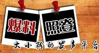 南通新闻爆料平台,聚焦民生热点，共筑和谐家园