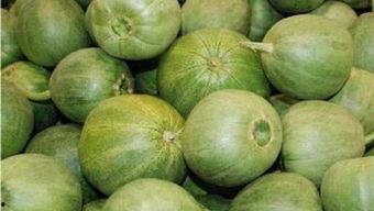 甜瓜概念爆料视频大全最新