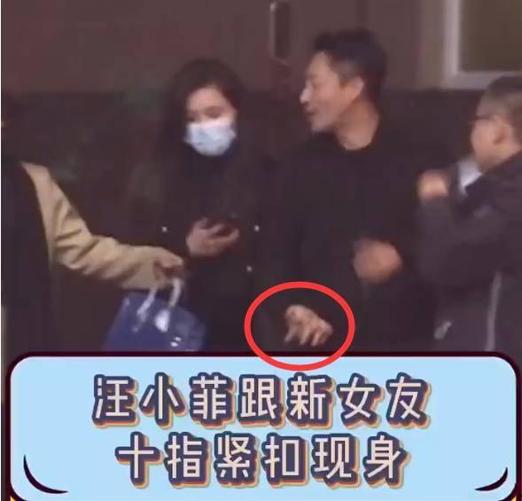 新爆料汪小菲视频播放全集,独家播放全集深度解析