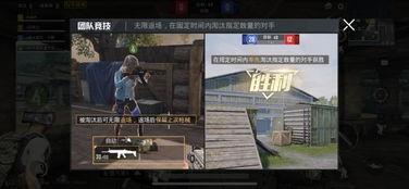 爆料和平精英视频大全集,平精英视频大全集深度解析