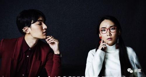 娱乐圈不小心爆料的小说,意外曝光的明星爱情秘史