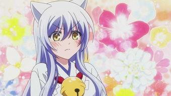 银狐动漫在线观看,穿越时空的奇幻之旅