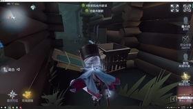 噩梦逐影爆料视频,揭秘神秘视频背后的惊悚真相