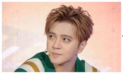 娱乐圈大爆料罗志祥是谁,娱乐圈大爆料背后的真相揭秘