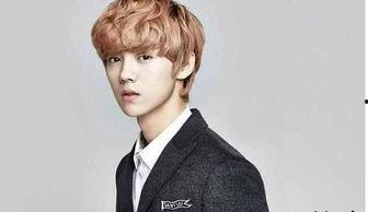 鹿晗摩天轮爆料事件视频,真相与争议并存