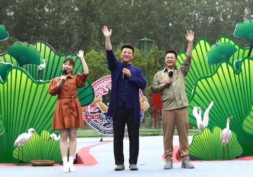 卡哥最新爆料视频下载大全,揭秘幕后真相，尽在这份独家汇总