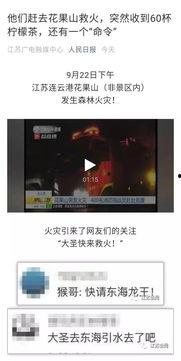 港城新闻爆料事件视频,视频揭露惊人真相！