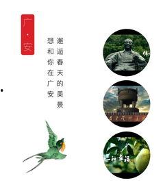 新旅游爆料视频,揭秘热门爆料视频背后的精彩瞬间